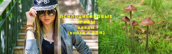 эйфоретик Арсеньев